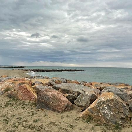 Port Barcares Vue Port Et Mer Le Barcarès Екстериор снимка