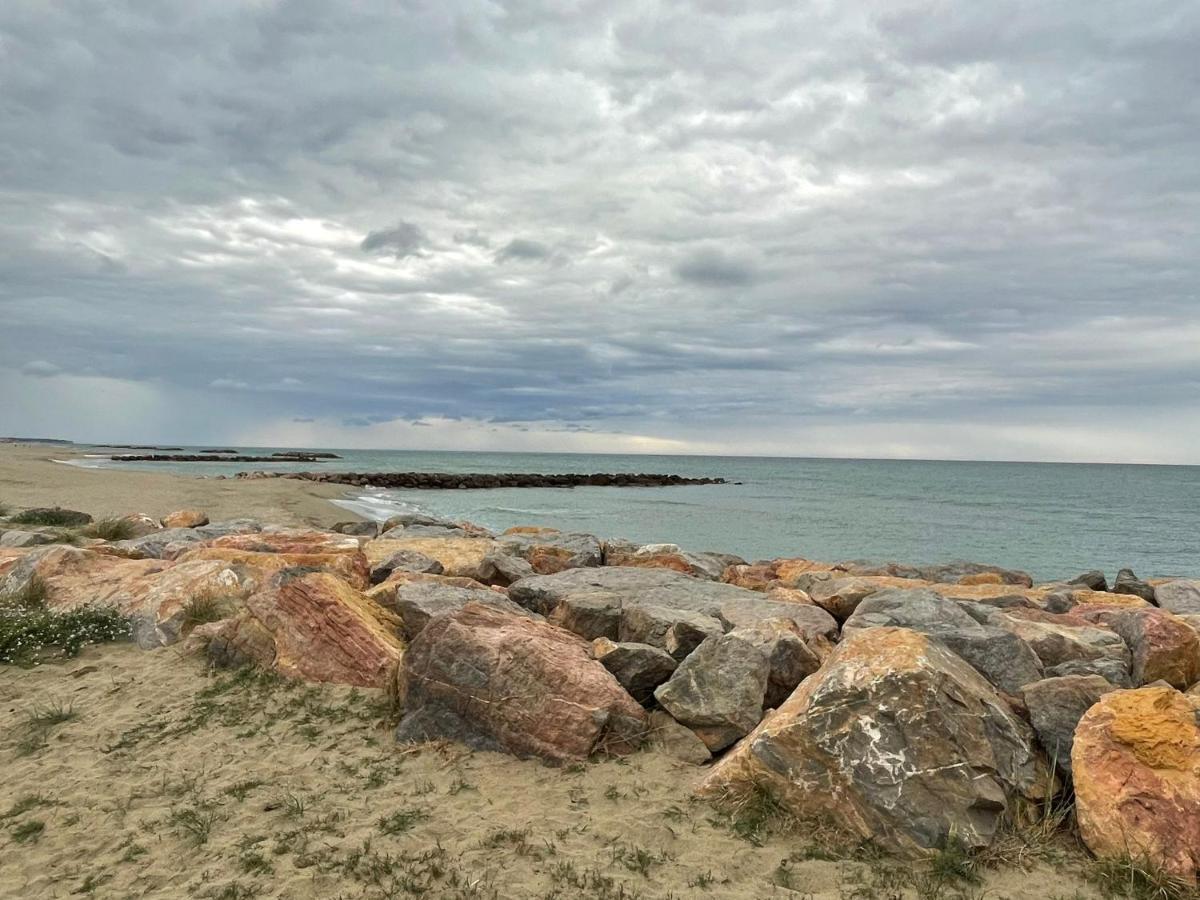 Port Barcares Vue Port Et Mer Le Barcarès Екстериор снимка